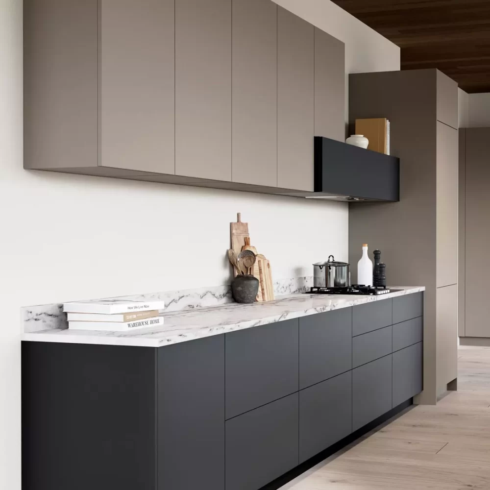 Castoro Ottawa1