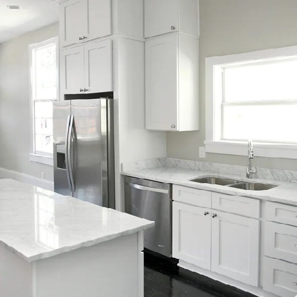 White_Shaker09